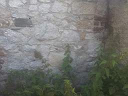 castlepark gate - 10330.jpg
